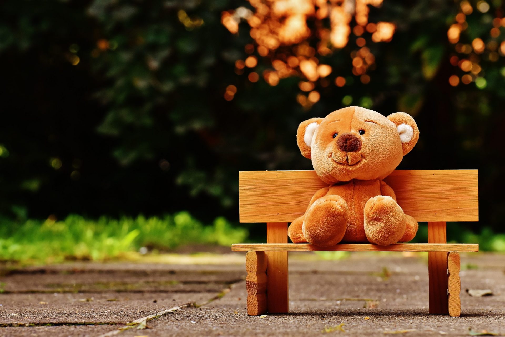 teddy bear on a bench - children's home